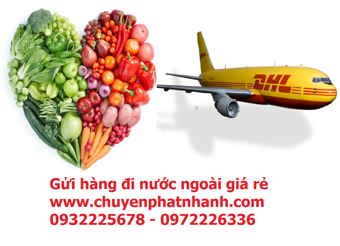 Gía cước gửi hàng đi nước ngoài DHL Quảng Ninh -30%