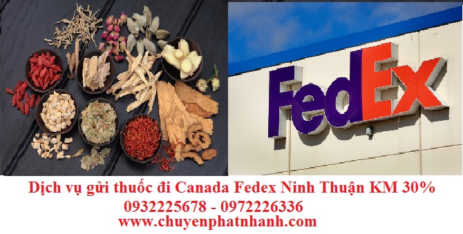 Gửi thuốc đi Canada cần thủ tục gì? FEDEX tại Ninh Thuận GIẢM 30%